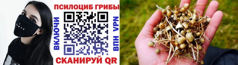 Галлюциногенные грибы прущие грибы  Томари 